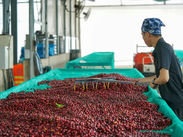 Agribusiness Processing Company with Buyer Demand