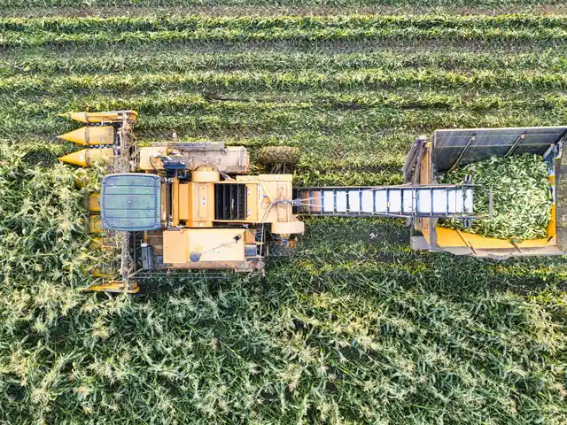 Agribusiness Processing Company with Acquisition Potential