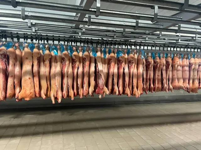 Agriculture Supply Chain Business with Export Demand
