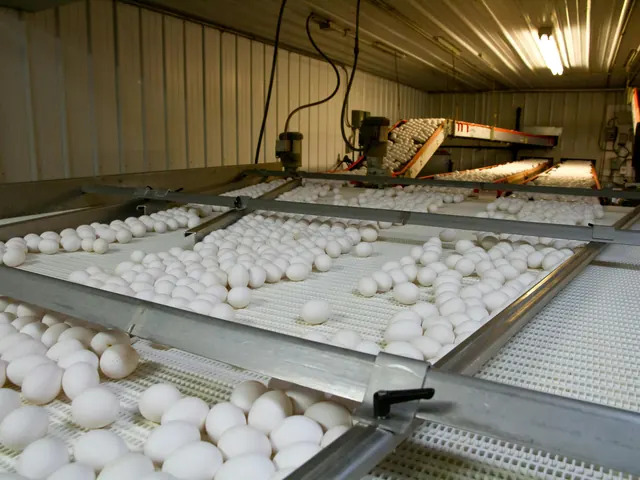 Agribusiness Processing Company with Growth Pipeline